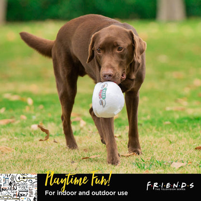 Central Perk Coffee Mug Plush Dog Toy with Rope Handle| Soft Cute Squeaky Toy for All Dogs | Stuffed Dog Toys with Squeaker Noise for Added Fun, Friends Memorabilia