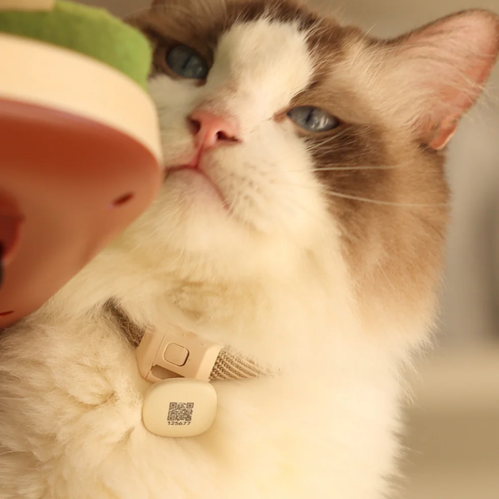 Fuente Inteligente Dockstream RFID | Reconoce a Cada Gato