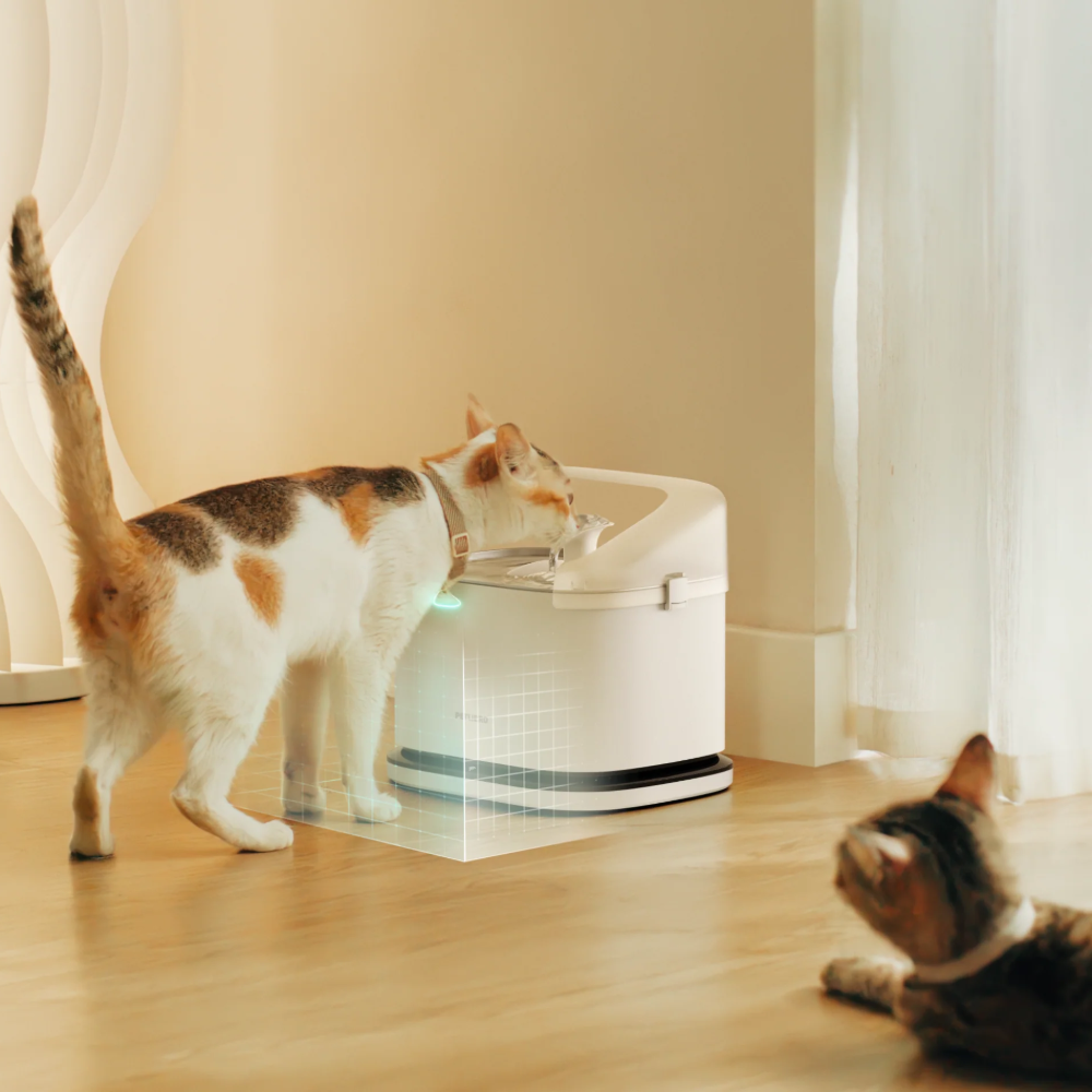 Fuente Inteligente Dockstream RFID | Reconoce a Cada Gato