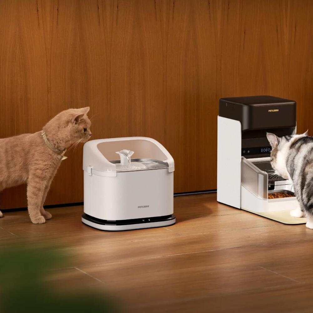 Fuente Inteligente Dockstream RFID | Reconoce a Cada Gato