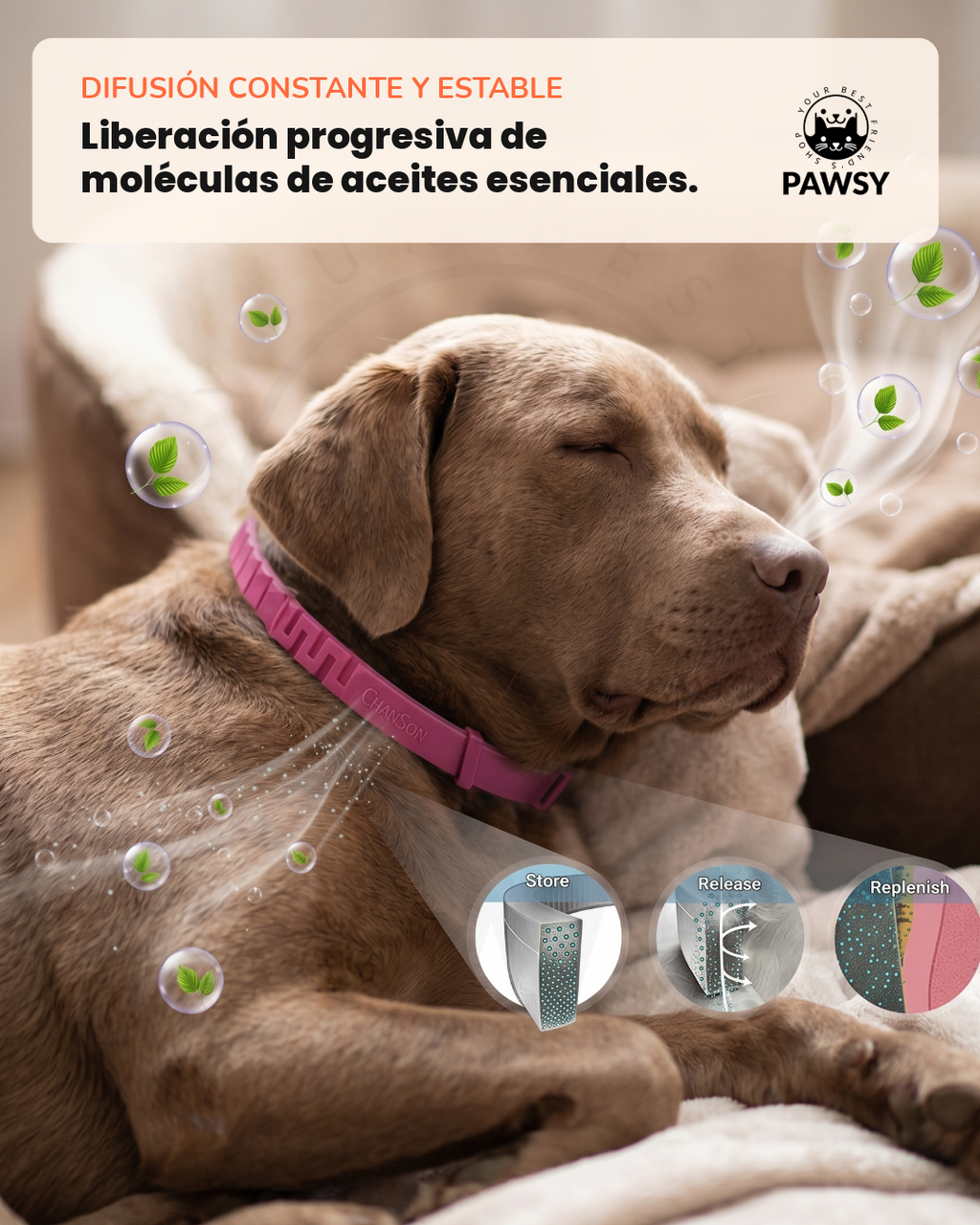 Collar Calmante Pawsy | Pack de 3 — Cuando Te Vas, Que Ninguno de los Dos Sufra