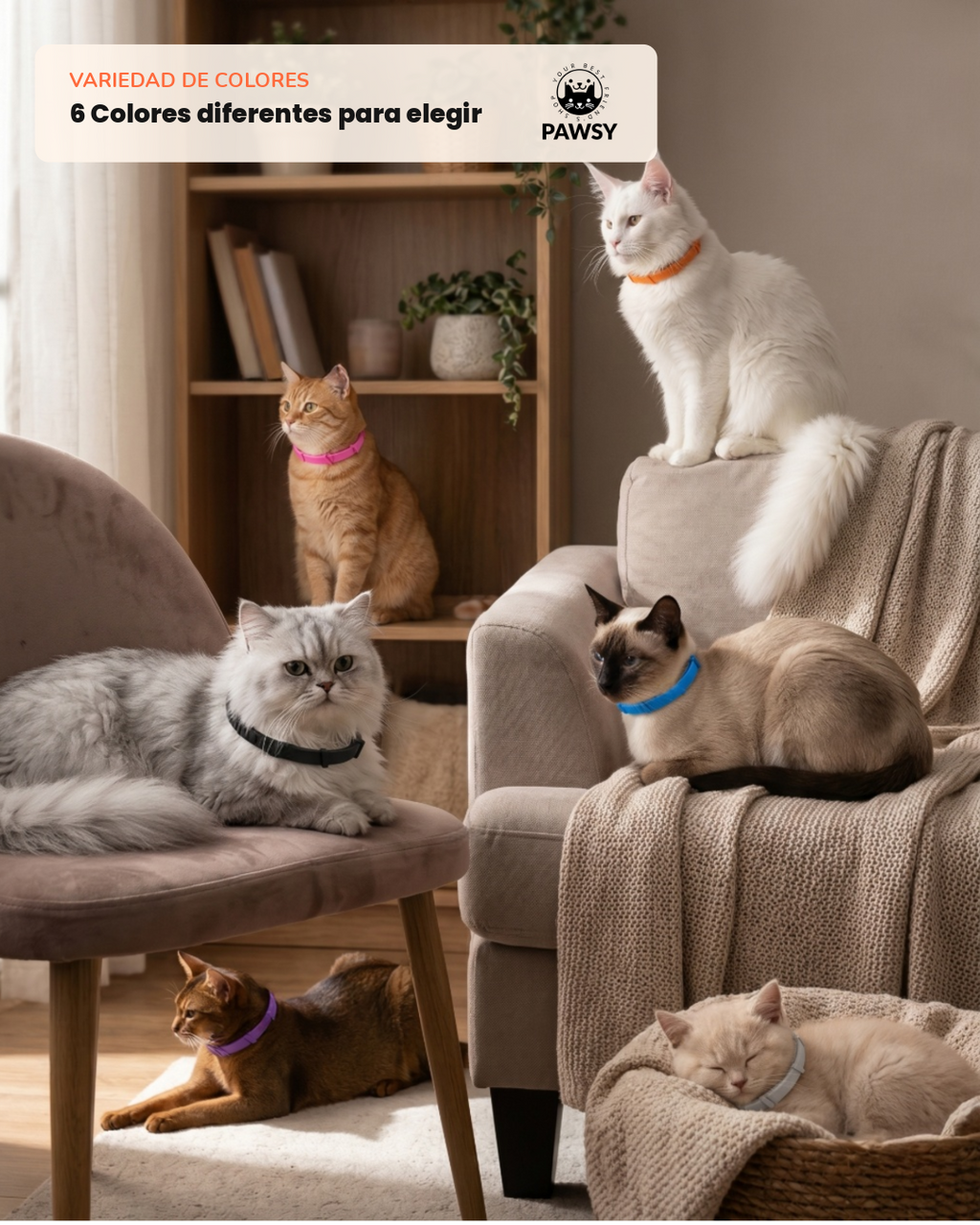Collar Calmante Pawsy | Pack de 3 — Cuando Te Vas, Que Ninguno de los Dos Sufra